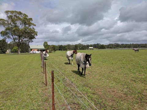 Madigan Wine Country Cottages - Grafton Accommodation 9
