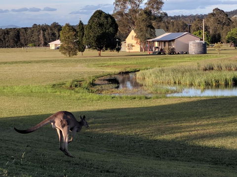 Madigan Wine Country Cottages - Grafton Accommodation 6