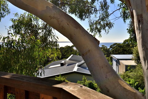 Seaglass - Stunning Views Of Jervis Bay - Grafton Accommodation 25