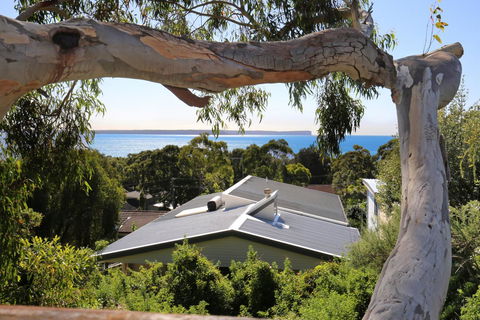 Seaglass - Stunning Views Of Jervis Bay - Grafton Accommodation 26