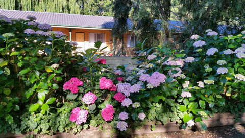 Moruya Motel - Grafton Accommodation 28