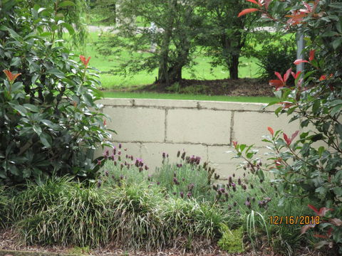 Moruya Motel - Grafton Accommodation 16