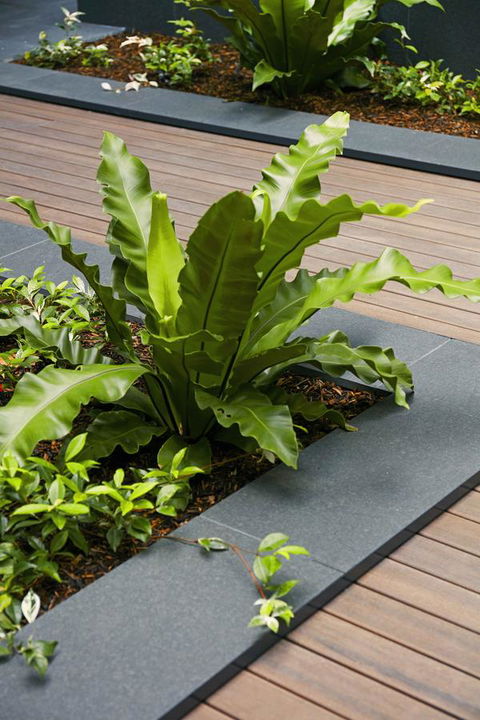 Veriu Camperdown - Grafton Accommodation 22