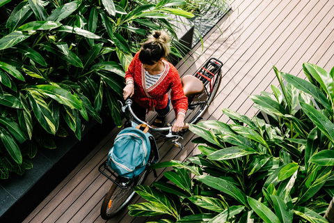 Veriu Camperdown - Grafton Accommodation 4