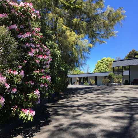 Sky Rider Motor Inn - Grafton Accommodation 24