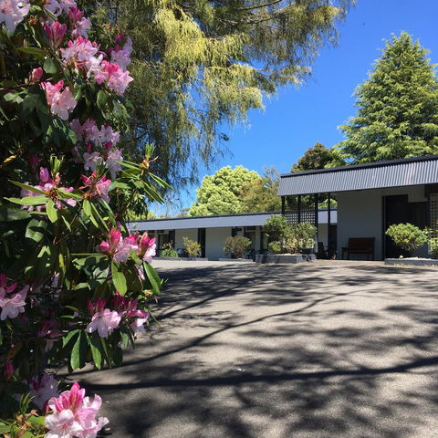 Sky Rider Motor Inn - Grafton Accommodation 14