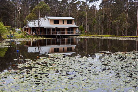 Jackson Ranch By Bannisters - Grafton Accommodation 26