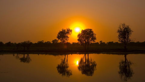 Mercure Kakadu Crocodile - Grafton Accommodation 26
