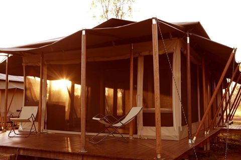 Wildman Wilderness Lodge - Grafton Accommodation 6