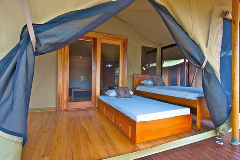 Wildman Wilderness Lodge - Grafton Accommodation 8