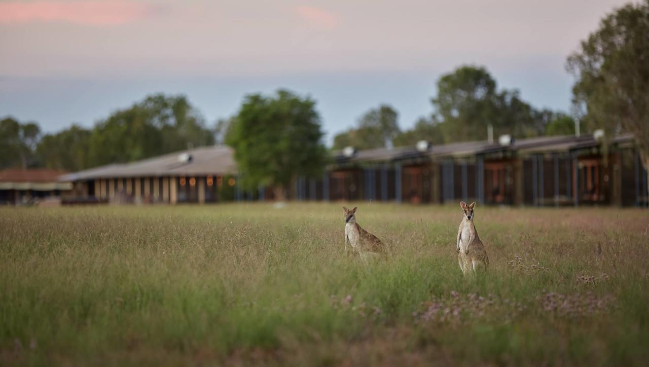 Wagait Beach NT Grafton Accommodation