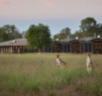 Wildman Wilderness Lodge - Grafton Accommodation