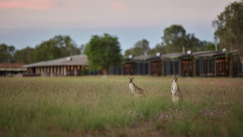 Wildman Wilderness Lodge - Grafton Accommodation 0