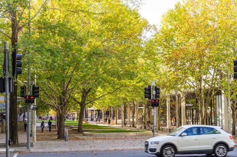 Highgate Executive Apartment City Walk Canberra - Grafton Accommodation 37
