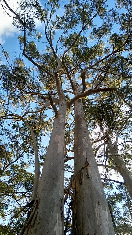 Broxholme B&B - Grafton Accommodation 3