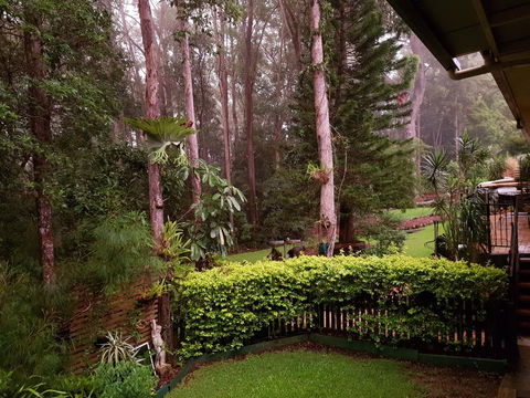 Buderim Forest Hideaway - Grafton Accommodation 2