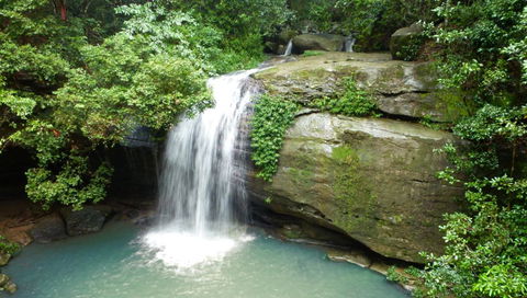 Buderim Forest Hideaway - Grafton Accommodation 0