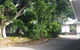 Bushchooks Travellers Village - thumb 2