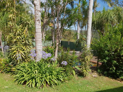 Byron Hinterland Hideaway - Grafton Accommodation 0