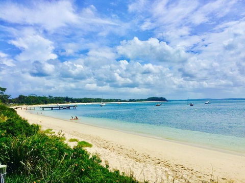 C A L M At Beautiful Shoal Bay - Grafton Accommodation 3