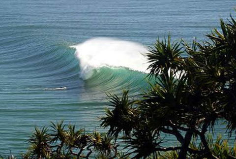 Cabarita Studio - Grafton Accommodation 0