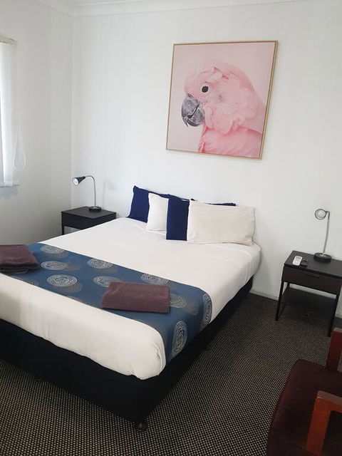 Canberra Ave Villas - Grafton Accommodation 2