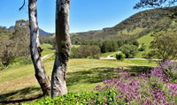 Book Capertee Accommodation Vacations Grafton Accommodation Grafton Accommodation
