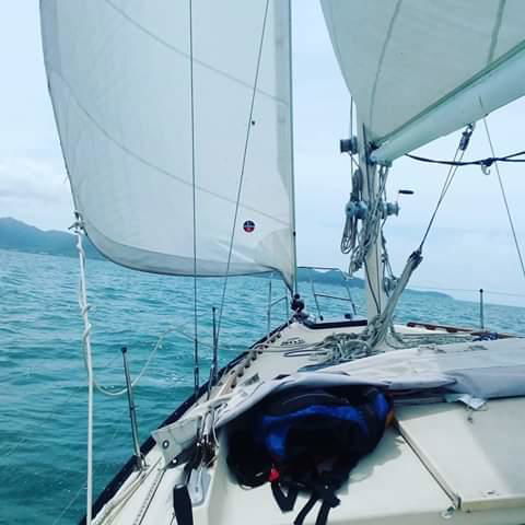 Casual Fare Sailing Charters Townsville - Ocean Living - Cruise - Grafton Accommodation 3