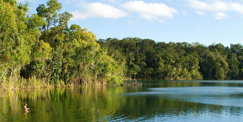 Chambers Wildlife Rainforest Lodges - Grafton Accommodation 1