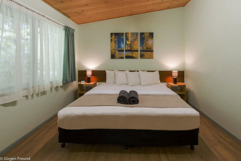 Chambers Wildlife Rainforest Lodges - Grafton Accommodation 0