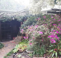 Charming country house close to Grafton - Grafton Accommodation