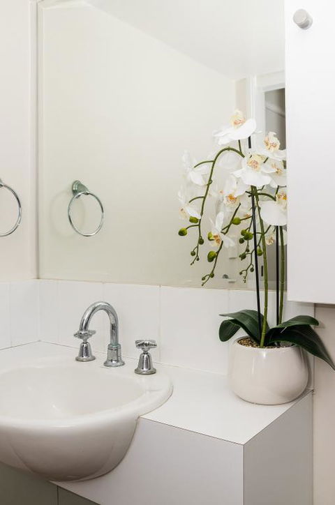 City Stadium Apartment On The Riverfront - Grafton Accommodation 3