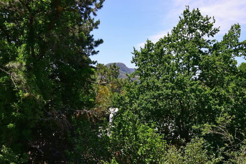 Cloudsong Chalet 4 - Close To The Village Centre! - Grafton Accommodation 3