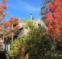 Cloudsong Chalet 4 - Close to the village centre - Grafton Accommodation