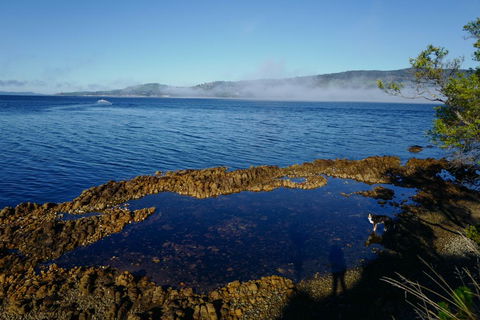 Coast House Tasmania - Grafton Accommodation 2