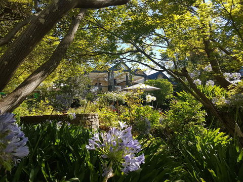 Cobb's Hill Homestead - Grafton Accommodation 1