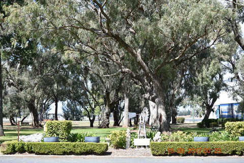 Cooee Motel - Grafton Accommodation 2