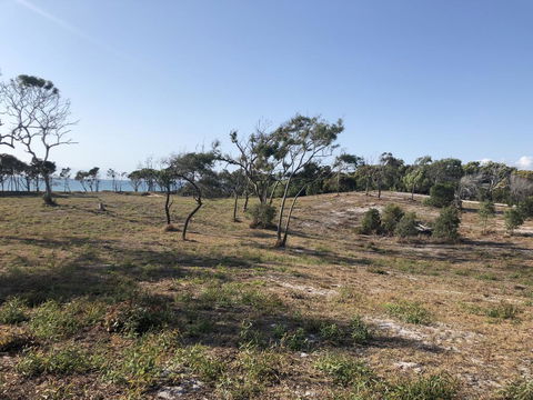 COONARR BEACH ( BUNDABERG )CAMPING - Grafton Accommodation 2