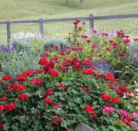 Country Mile Escape - Grafton Accommodation