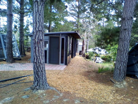 Country Studio - Grafton Accommodation 0