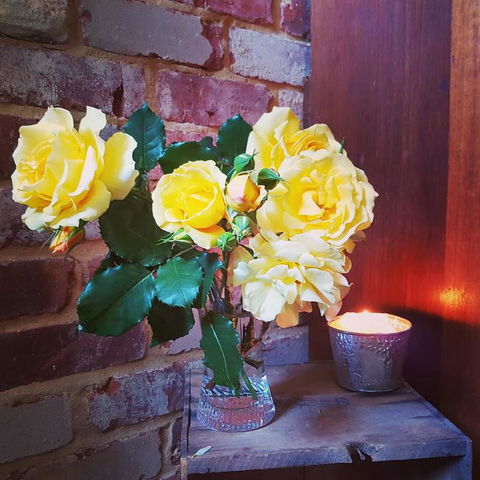 Darlington House - Grafton Accommodation 3