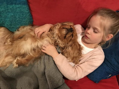 Dingup House - Grafton Accommodation 2