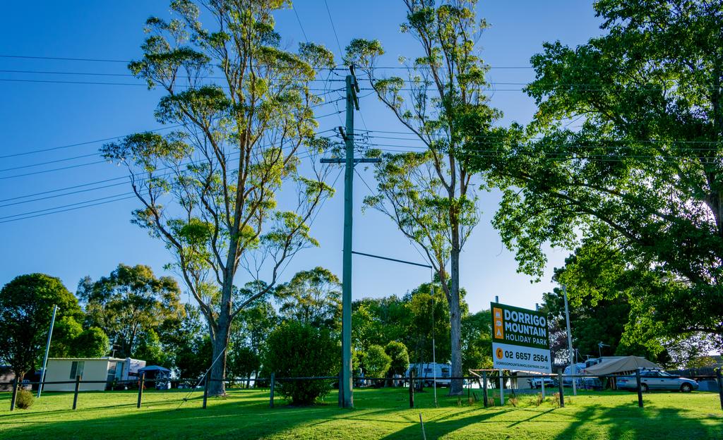 Dorrigo Mountain NSW Grafton Accommodation