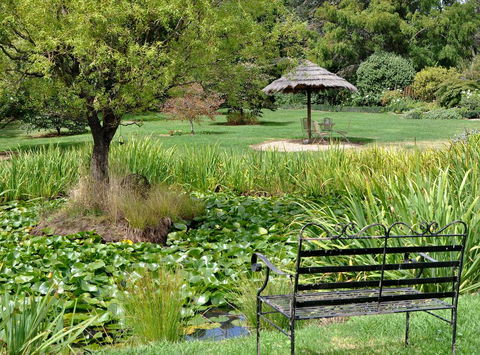Drayshed Cottage - Grafton Accommodation 2