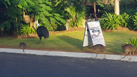 Driftwood Bed And Breakfast - Grafton Accommodation 1