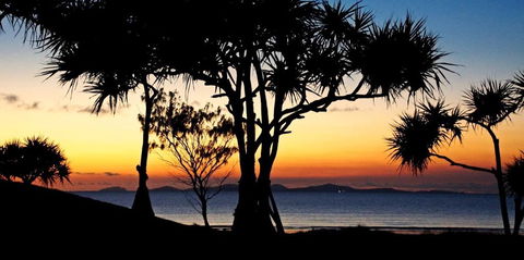 Driftwood Motel And Holiday Units - Grafton Accommodation 2