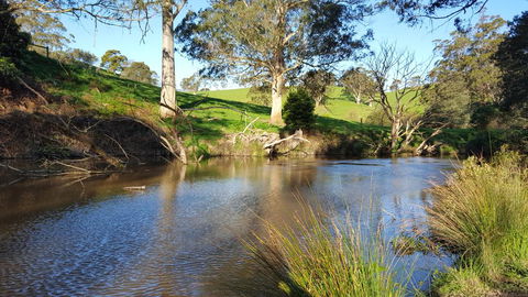 Emerald Hills Cottage - Grafton Accommodation 1