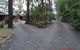 Emerald Tropical Palms B & B - thumb 3
