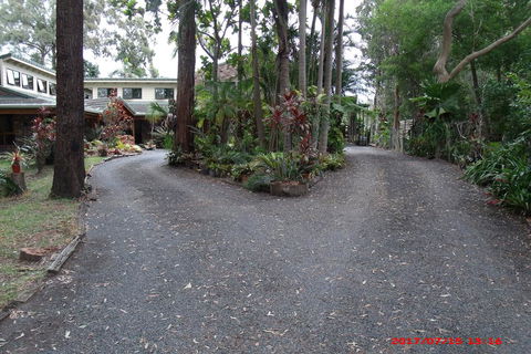 Emerald Tropical Palms B & B - Grafton Accommodation 3