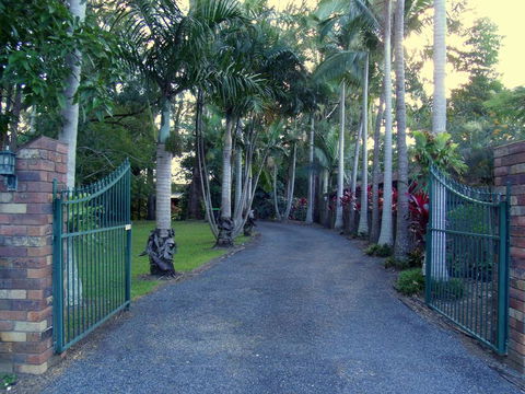 Emerald Tropical Palms B & B - Grafton Accommodation 0